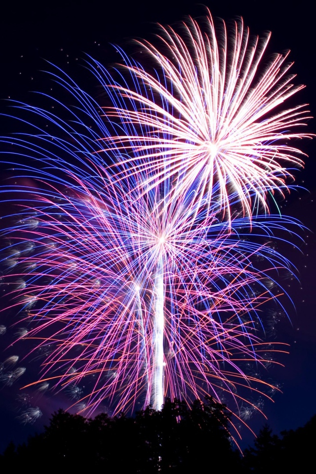 Яркий разноцветный салют в ночном небе