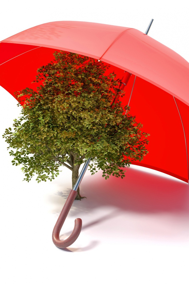Зеленое дерево под красным зонтом на белом фоне