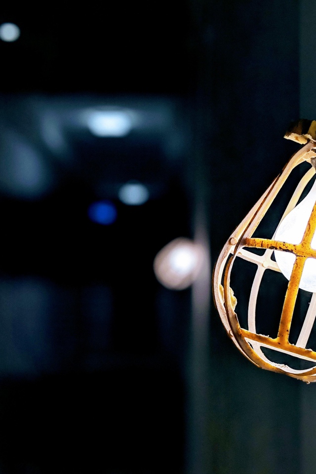 Включенная лампа в защитной решетке