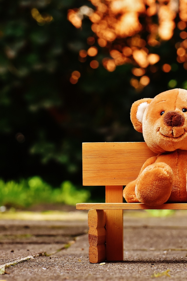 Медвежонок Тедди сидит на деревянной лавке