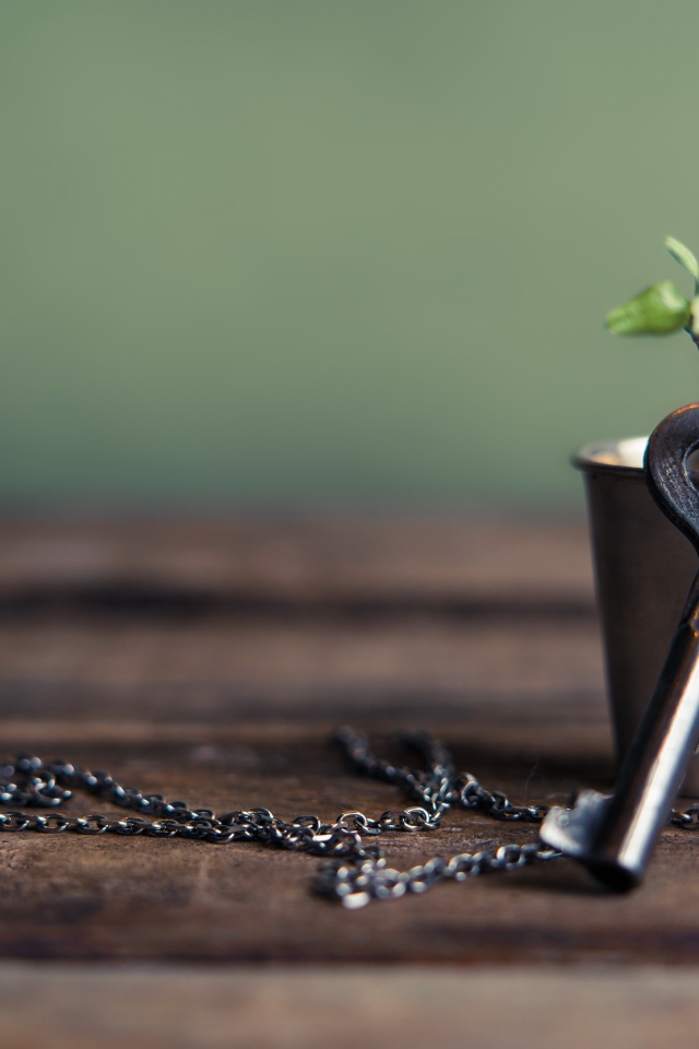 Ключ на цепочке одет на веточку в стакане