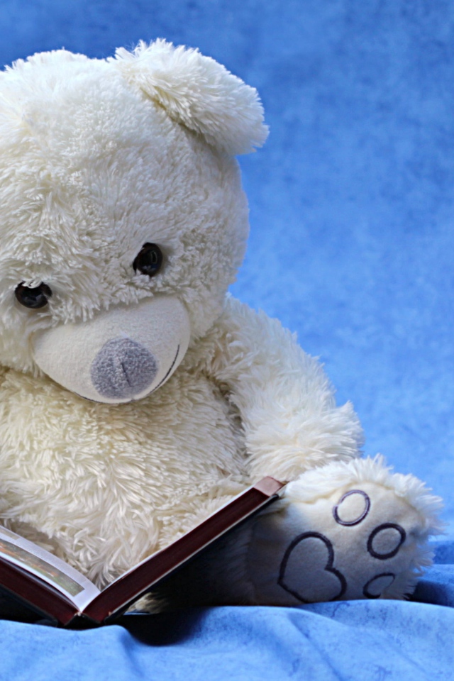 Белый плюшевый мишка с книгой на голубом фоне 