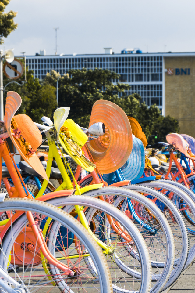 Женские велосипеды со шляпками стоят в ряд 