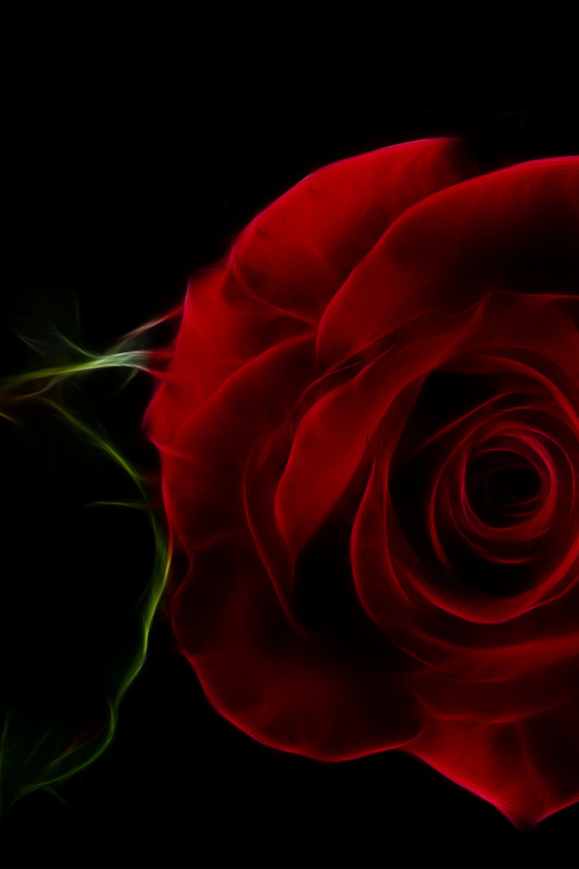 Нарисованная красная роза на черном фоне