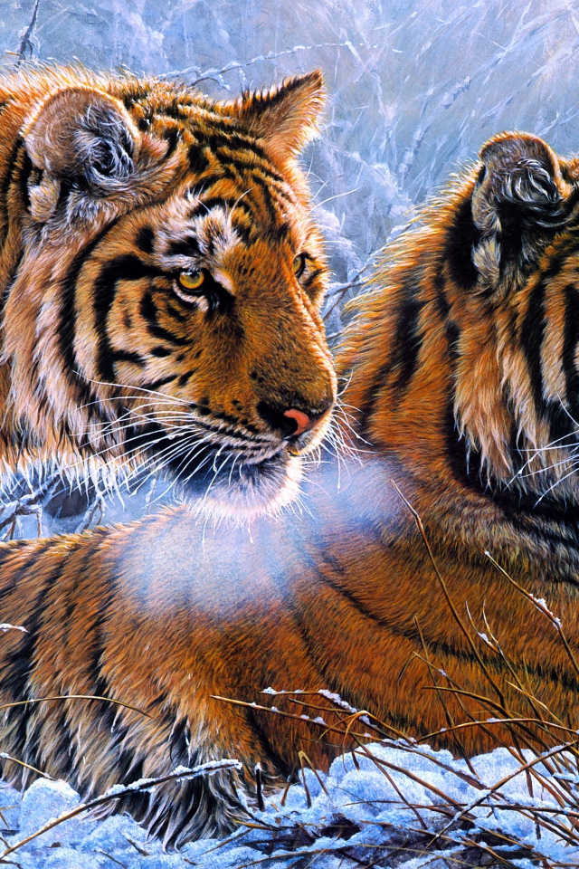 Two drawn tigers in the snow