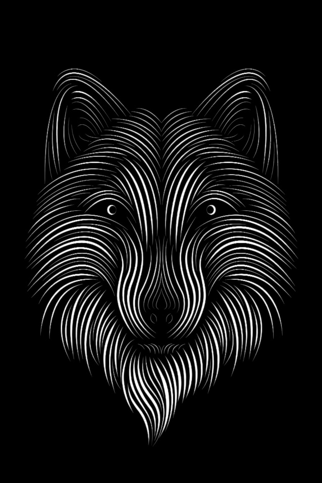 Нарисованный белый волк на черном фоне