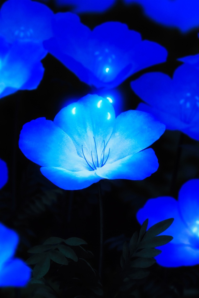Красивые фантастические голубые цветы 