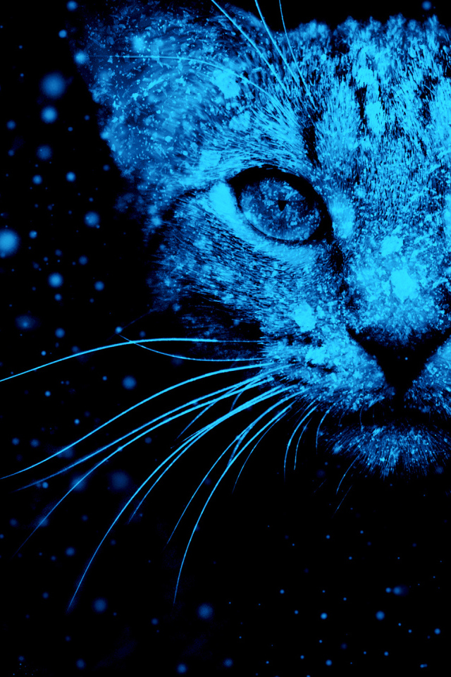 Неоновый фантастический кот на черном фоне 