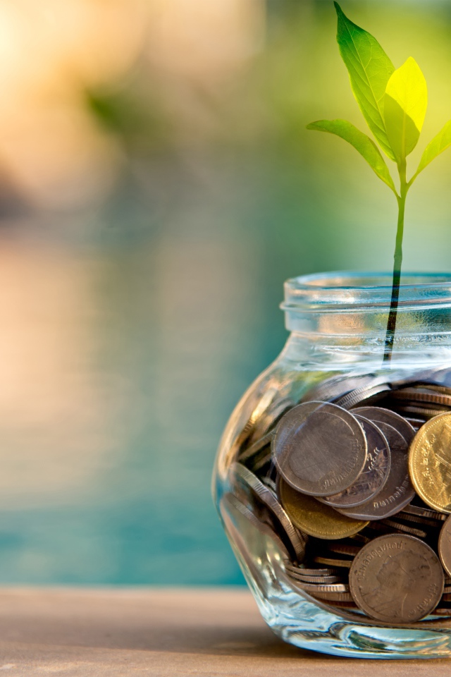 Зеленый росток прорастает из копилки 