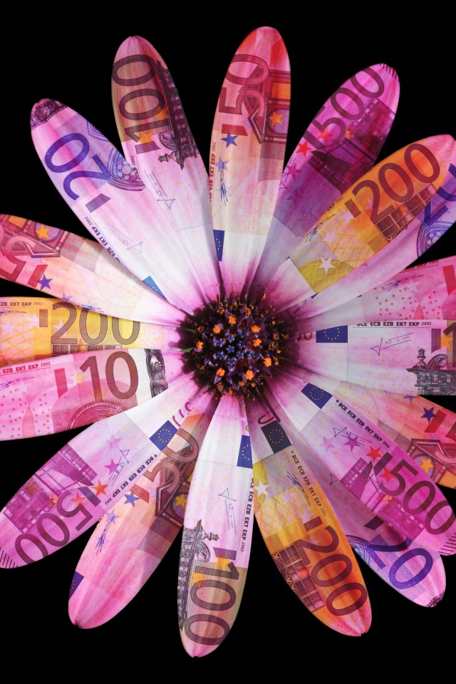 Цветок из купюр евро на черном фоне