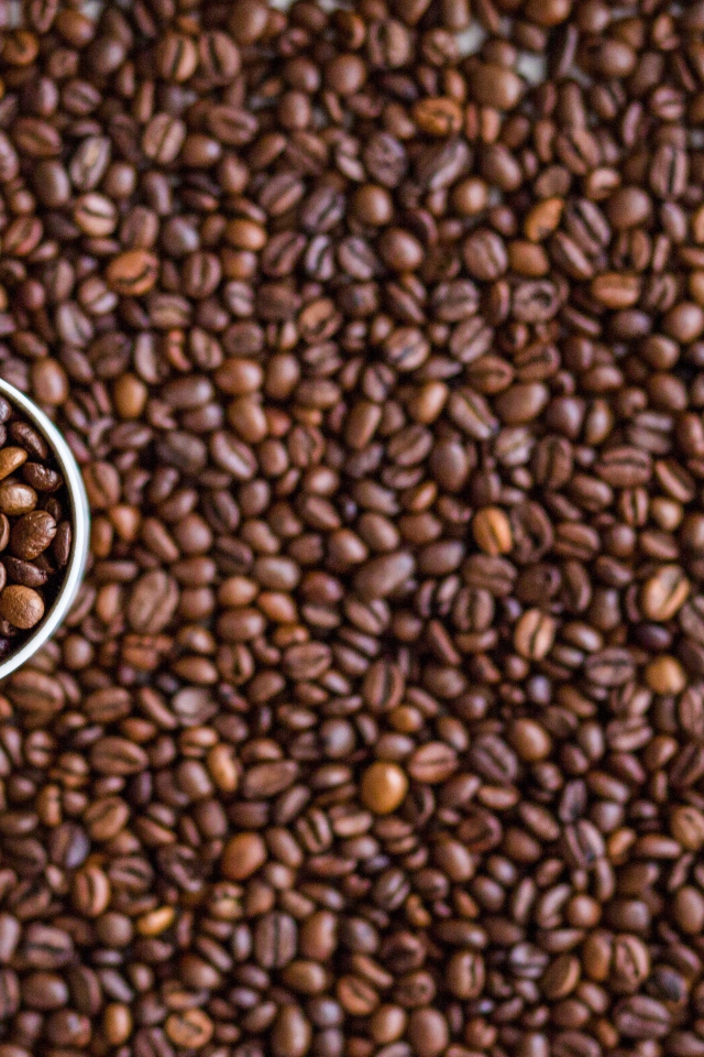 Чашка с кофейными зернами стоит на зернах 