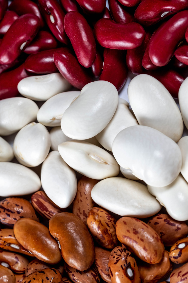 Много разноцветной фасоли крупным планом