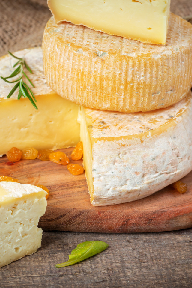 Сыр с плесенью на столе с хлебом и творогом