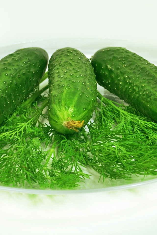 Зеленые огурцы лежат на белой тарелке с укропом 