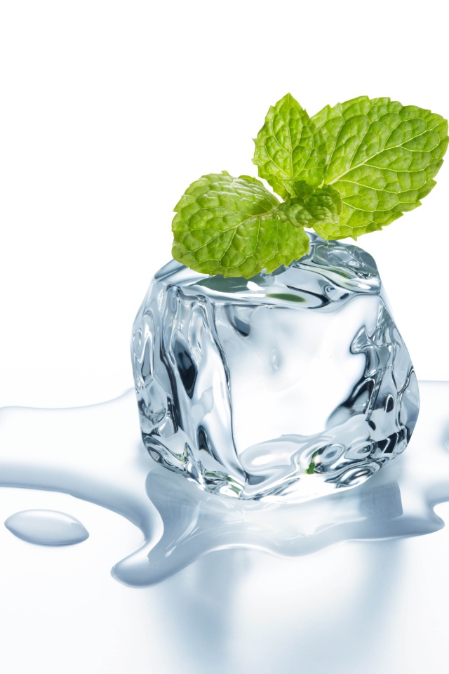 Тающий кубик льда с листиком мяты на белом фоне