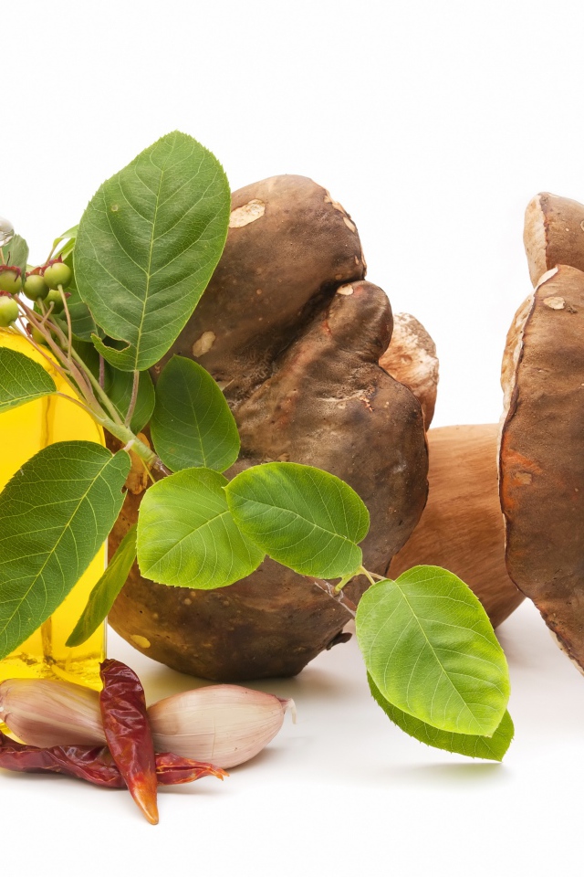 Грибы на белом фоне с оливковым маслом и чесноком