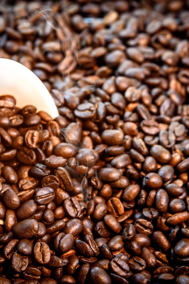 Белая чашка с жареными кофейными зернами