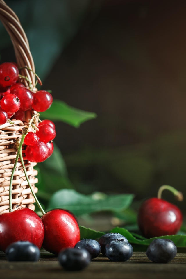 Корзина с ягодами черники, малины, красной смородины и черешни