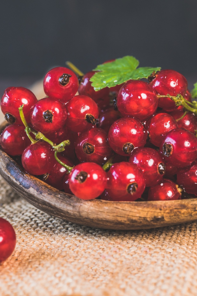 Красивая спелая красная смородина 