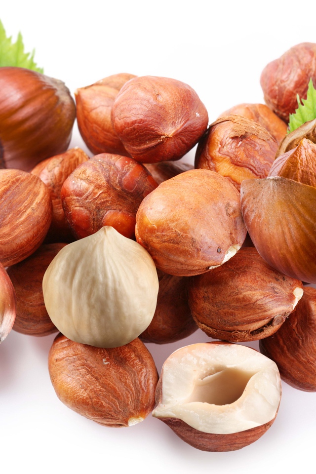 Много лесных орехов на белом фоне