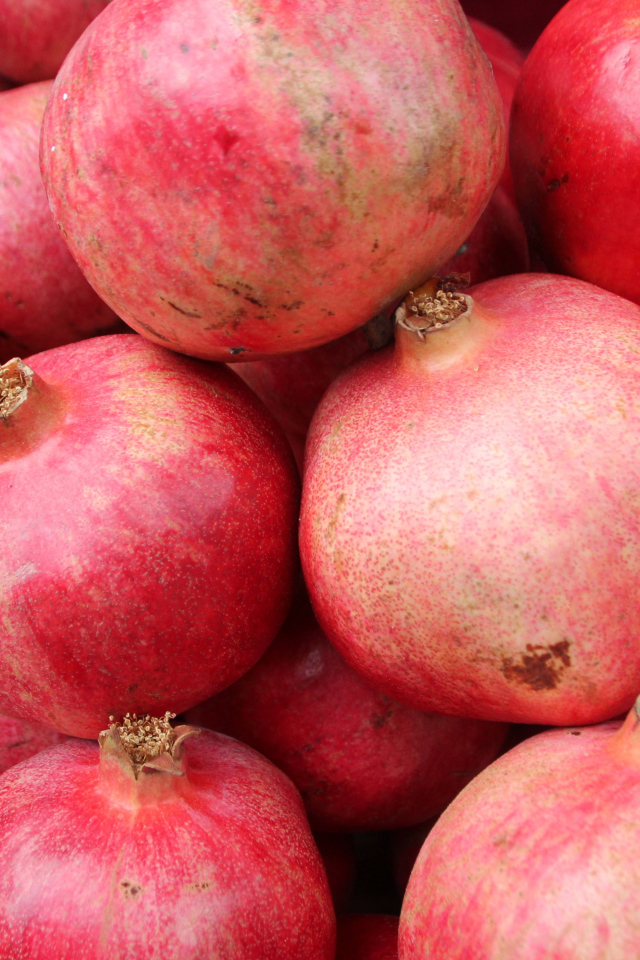 Много красных плодов граната крупным планом