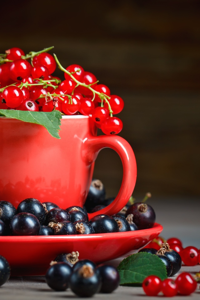 Красная смородина в чашке на блюдце с черной смородиной