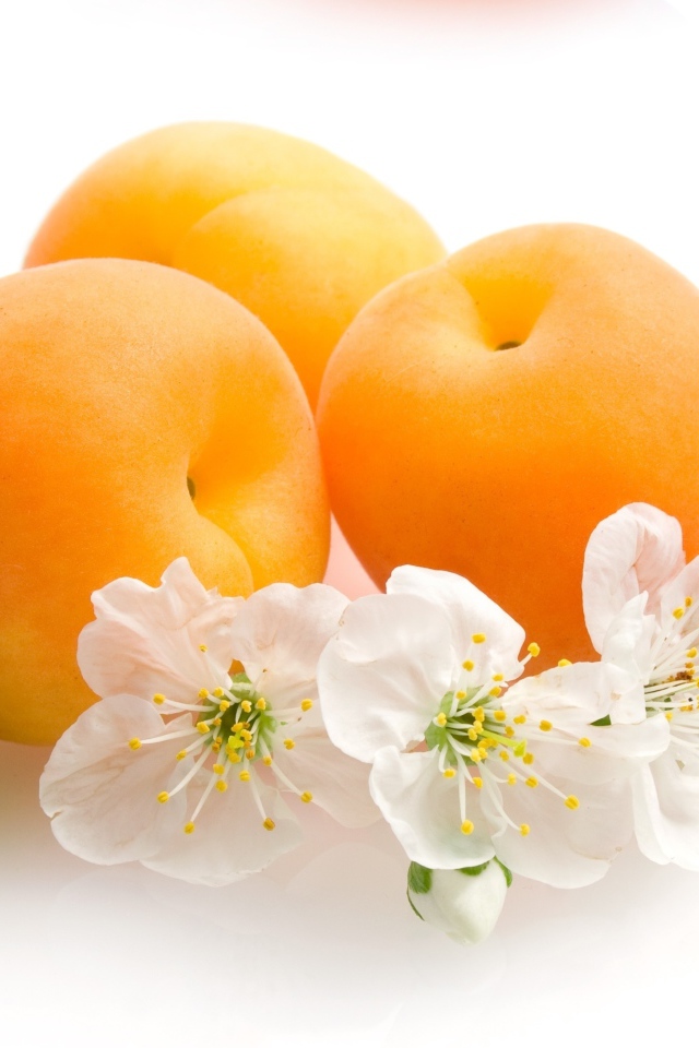 Спелые сочные абрикосы с цветами на белом фоне