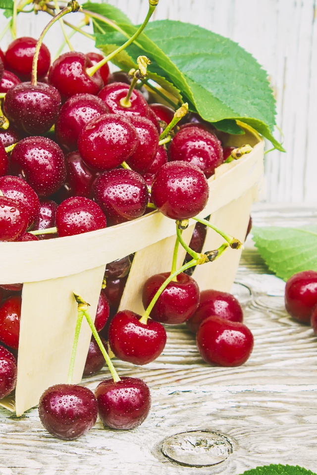 Спелые красные вишни в корзинке на столе