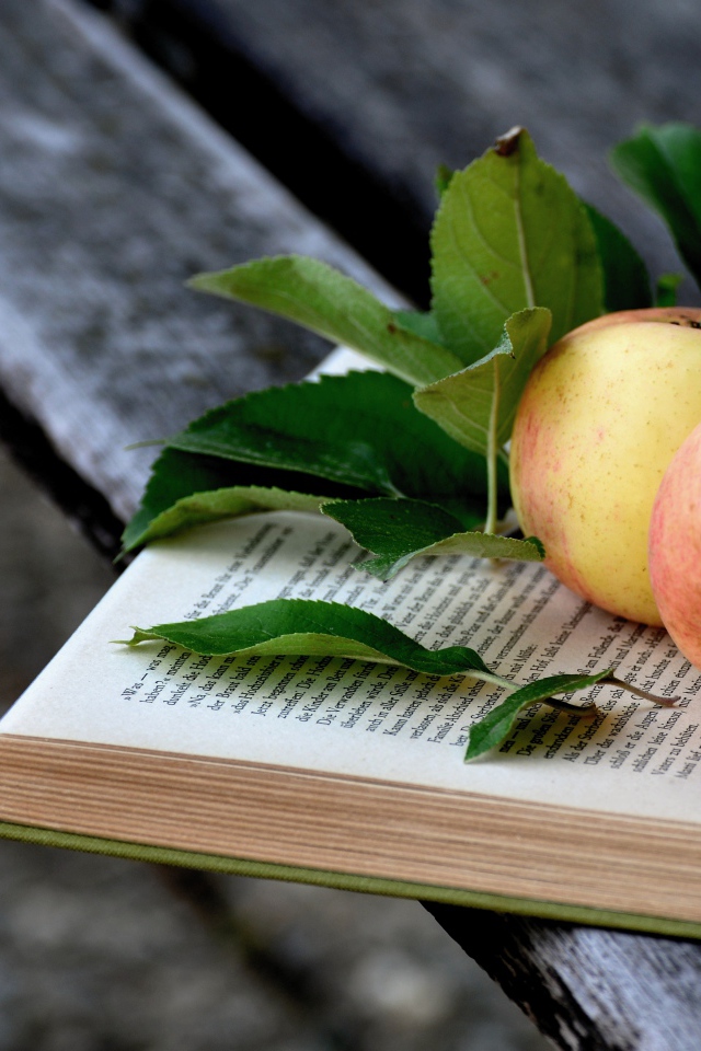 Два яблока лежат на книге на деревянной лавке