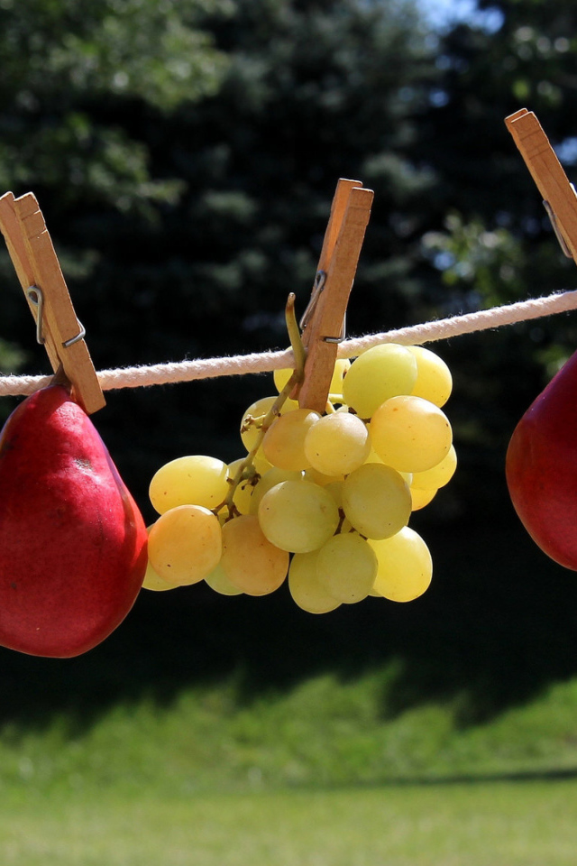 Белый виноград и красные груши на веревке