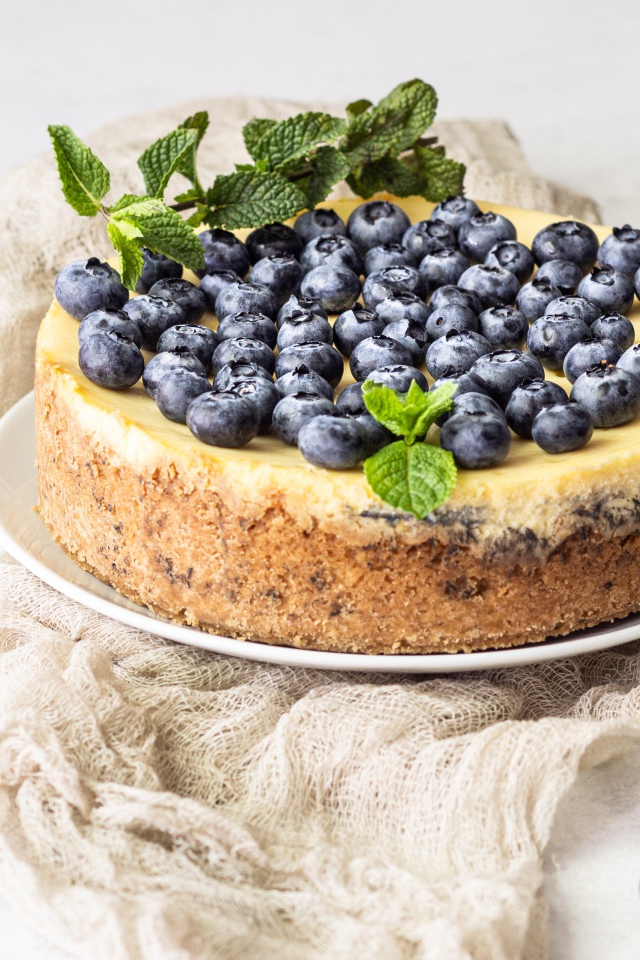 Appetizing tasty pie with blueberries and mint