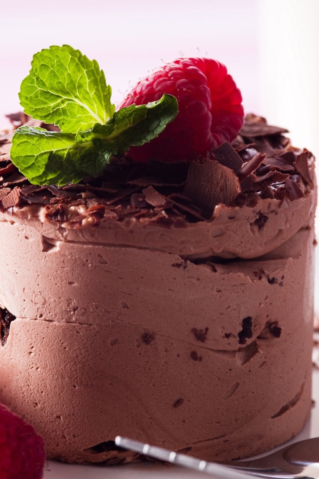 Кофейное мороженое с тертым шоколадом и ягодами малины