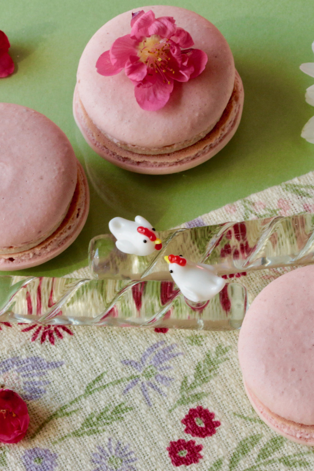Розовый десерт макарон на столе с белыми цветами ромашек