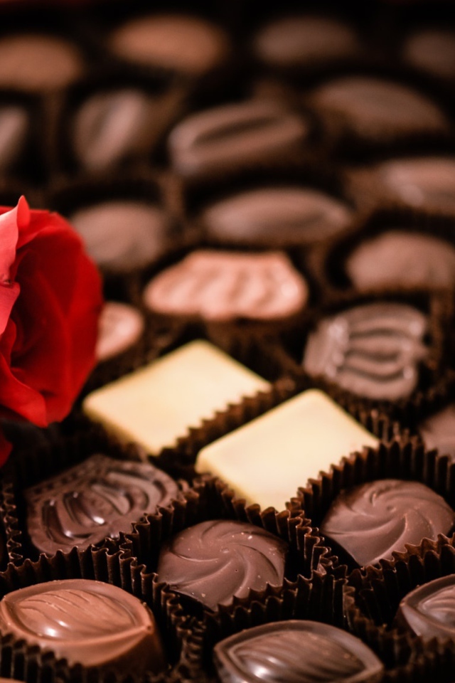 Красная роза лежит на коробке с шоколадными конфетами ассорти 