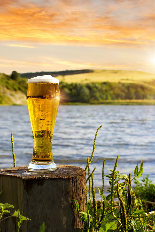 Бокал пива стоит на пне у воды 