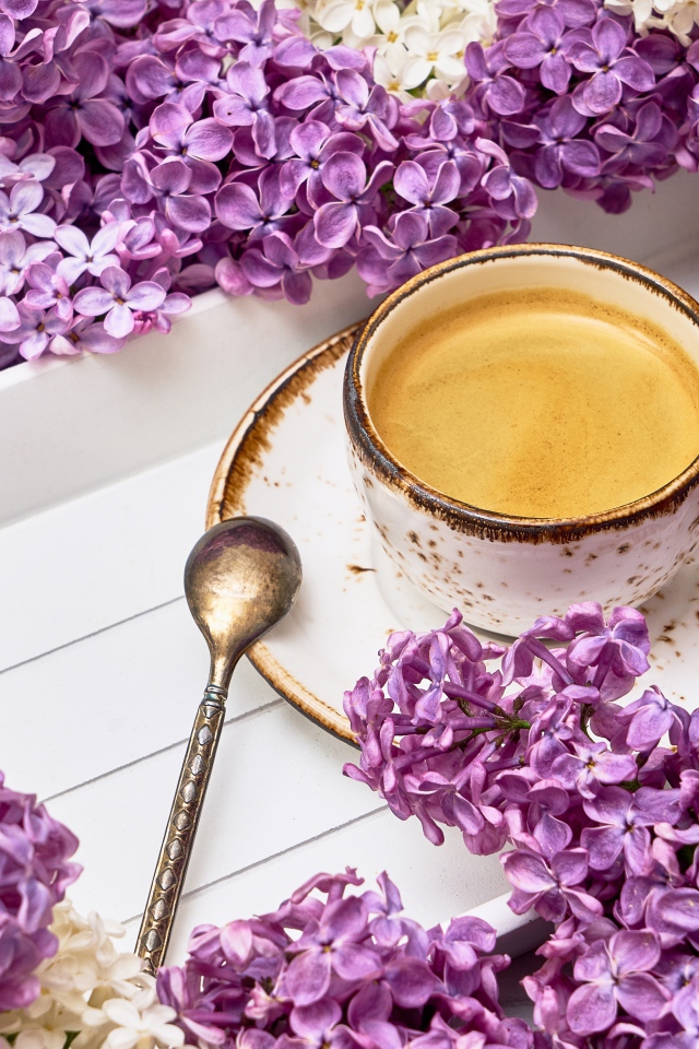 Чашка кофе на подносе с цветами сирени 