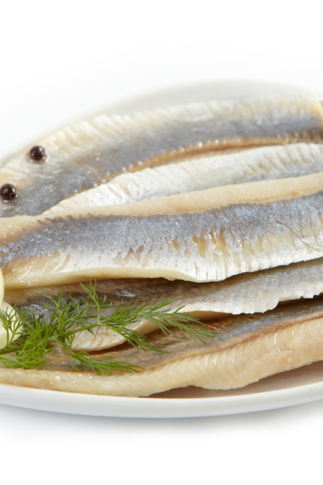 Herring fillet on white background with onions