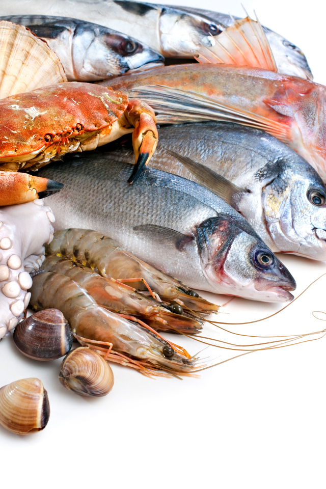 Много различных морепродуктов на белом фоне