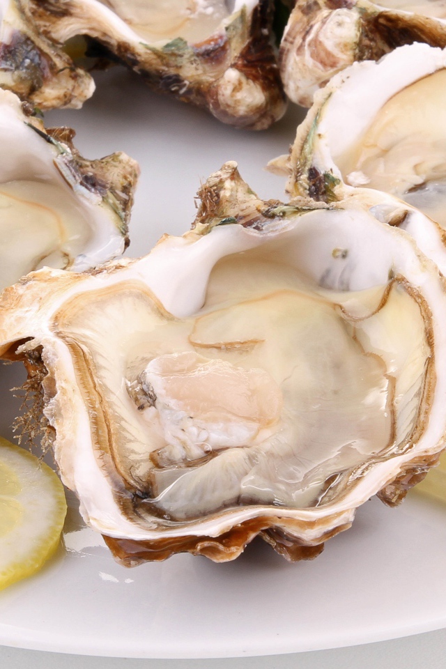 Устрицы с лимоном и укропом на белой тарелке
