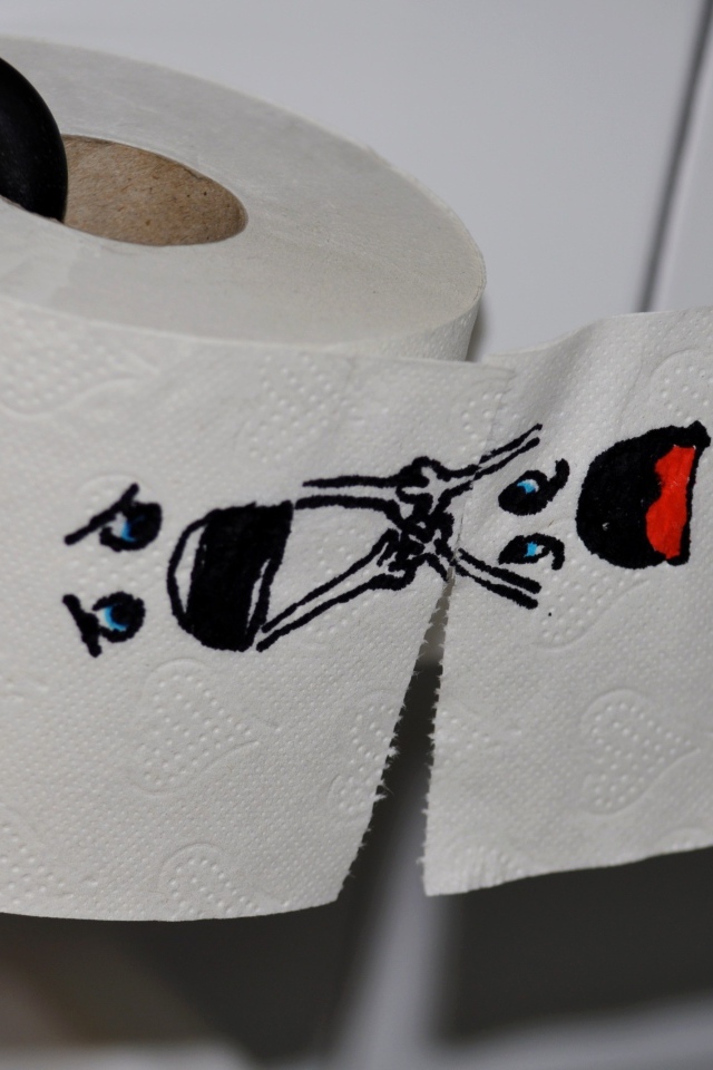 Прикольная туалетная бумага с рисунком