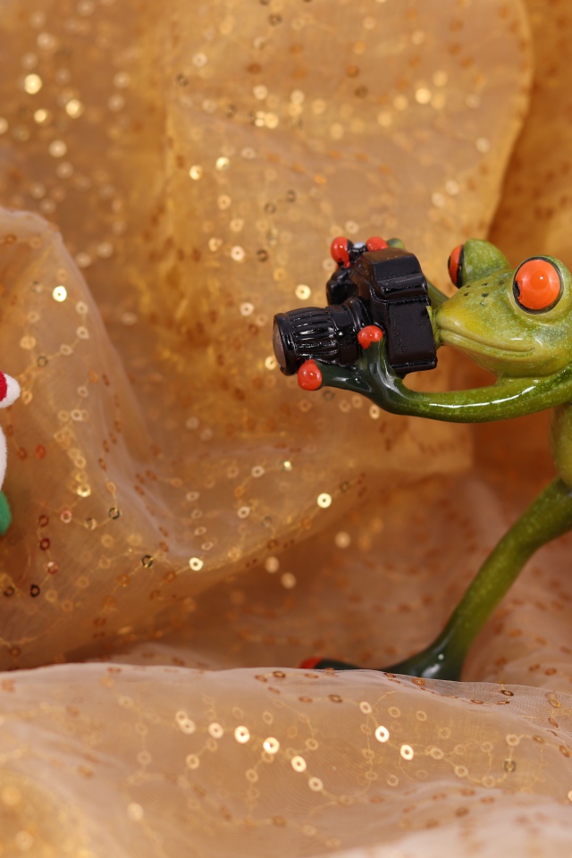 Зеленая жаба фотографирует Деда Мороза