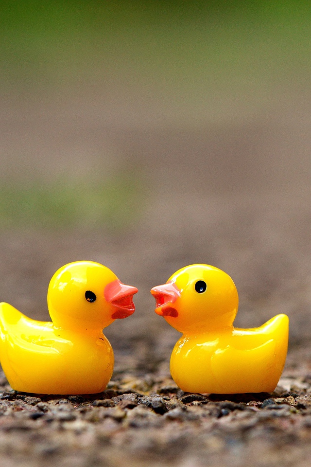 Две игрушечных желтых уточки на асфальте 