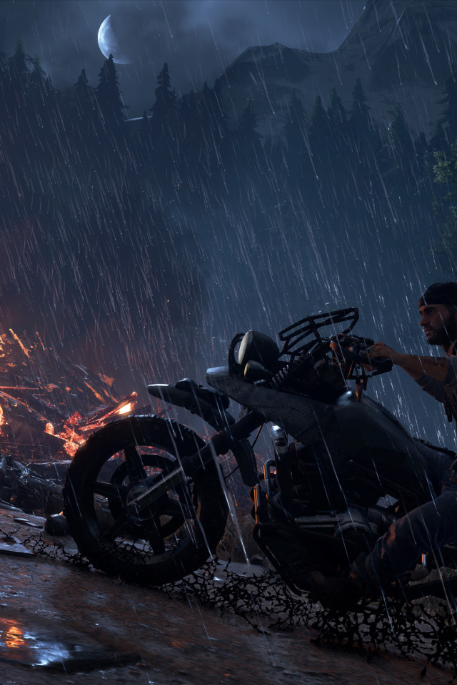 Скриншот компьютерной игры Days Gone, 2019