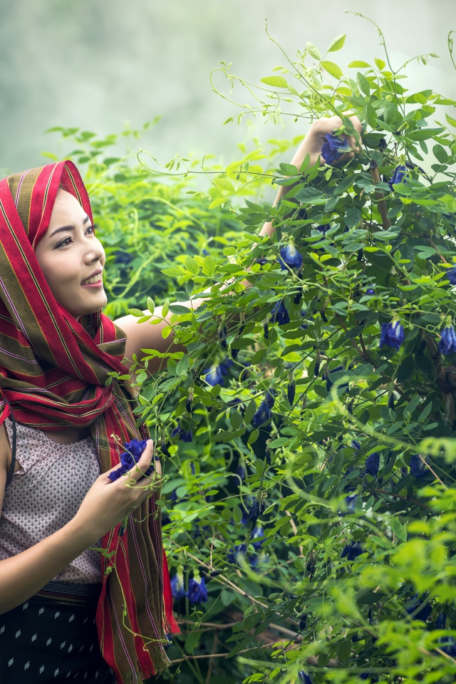 Девушка азиатка собирает цветы в корзину