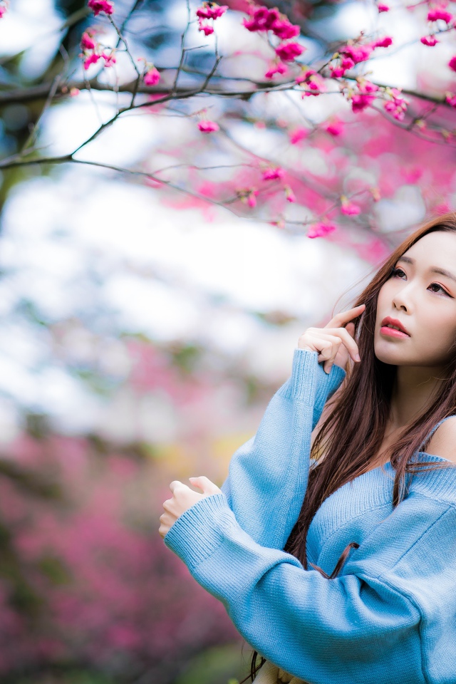Красивая длинноволосая азиатка у дерева сакуры