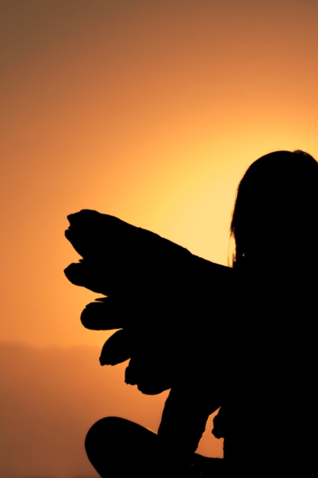 Силуэт девушки с крыльями ангела на фоне заката