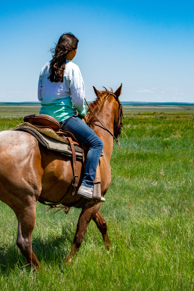 Молодая девушка едет на лошади по зеленой траве