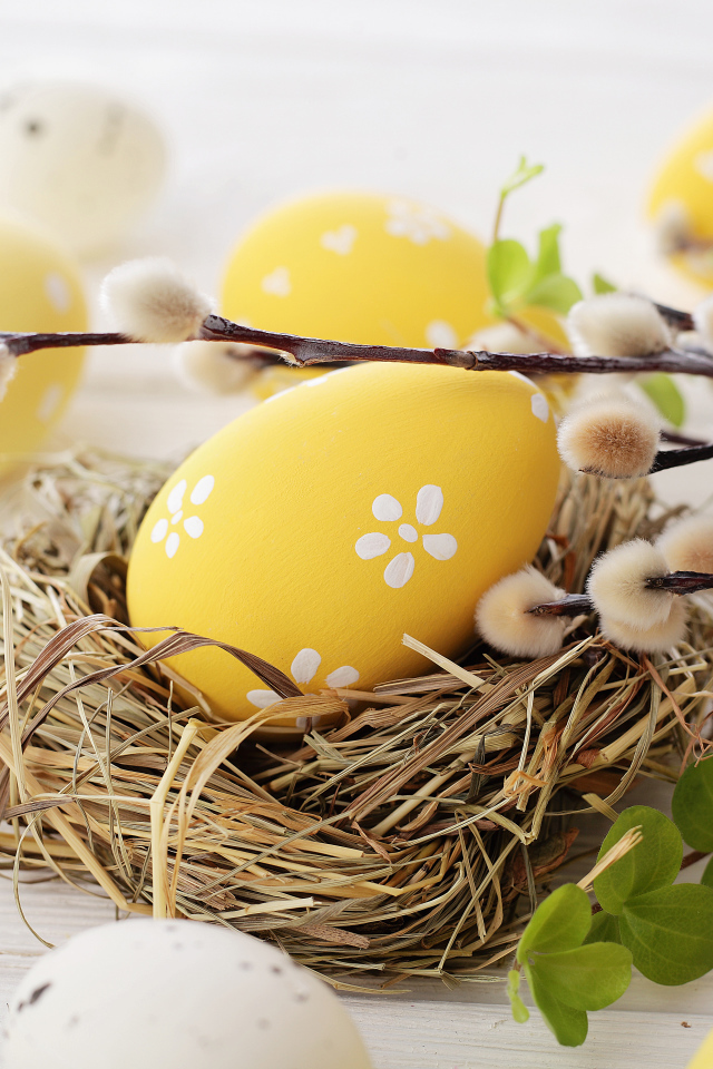 Ветка вербы с крашеными яйцами к празднику Пасха