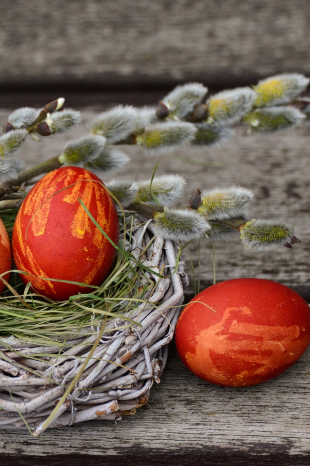 Крашеные яйца в гнезде с веточкой вербы на деревянном столе