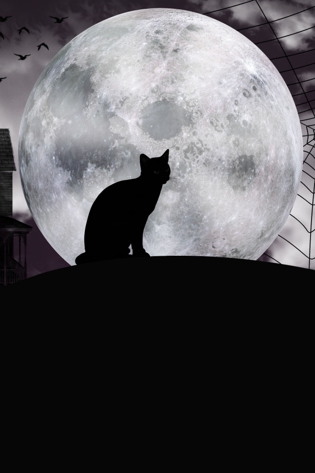 Черный кот на фоне большой луны на Хэллоуин 